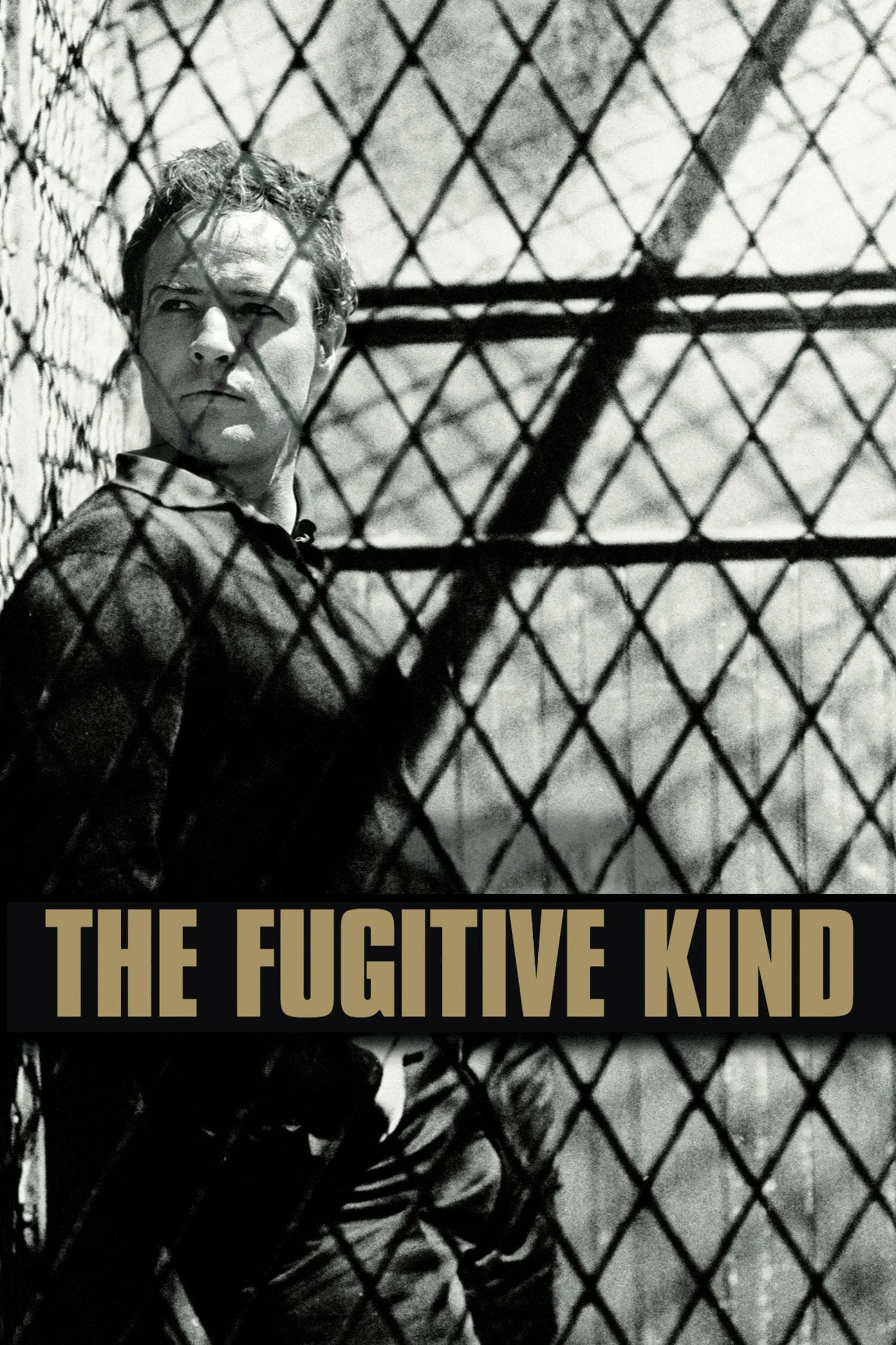 The Fugitive Kind poster