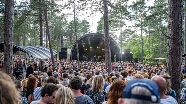 Into the Great Wide Open 2019