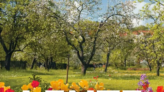 Lente 2024