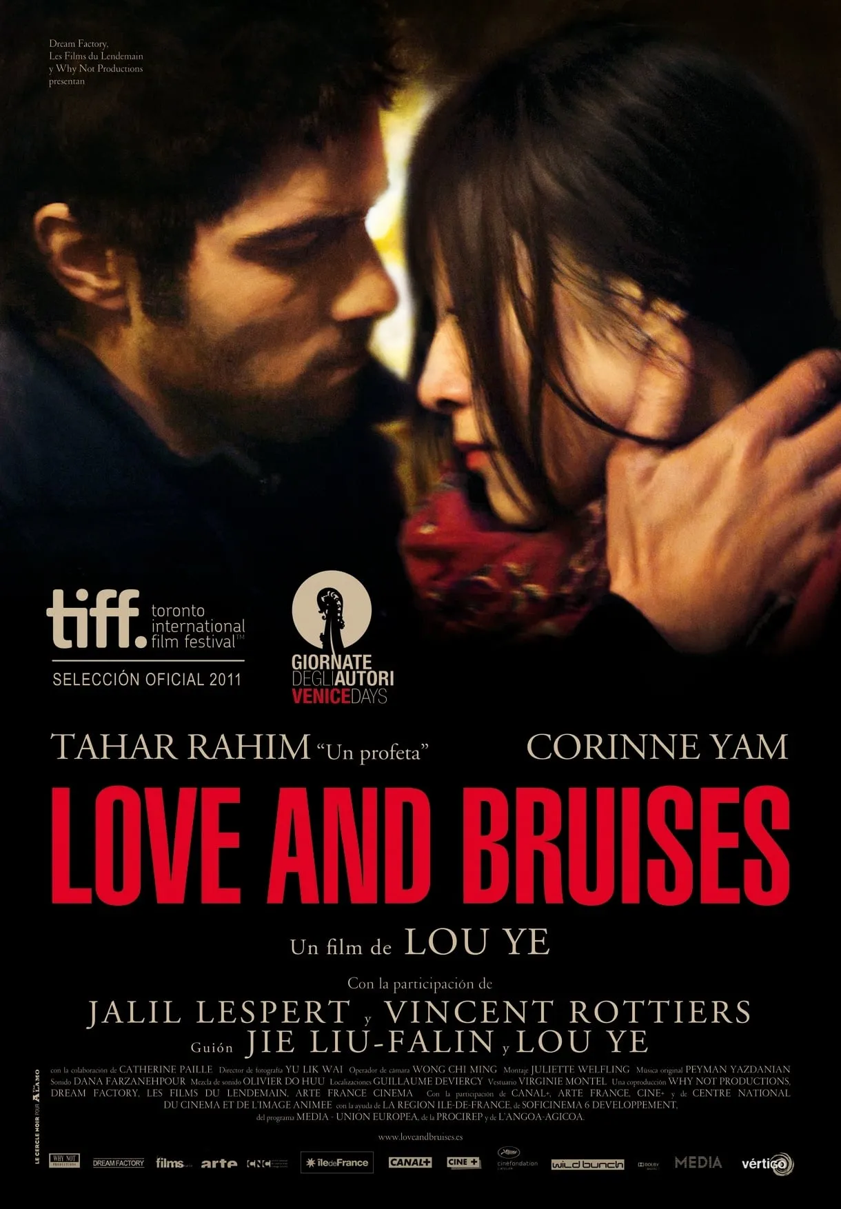 Love and Bruises poster