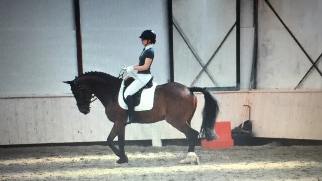 Robbin Houtenbos op haar paard Divon