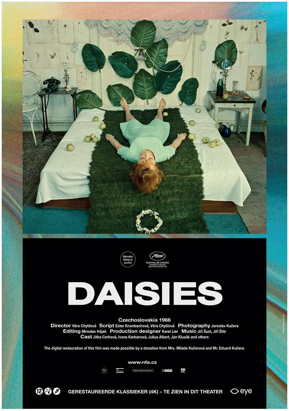 Daisies poster
