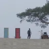 vpro