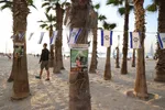 Een rij palmbomen aan de boulevard van Tel Aviv, waar Israëlische vlaggetjes en foto's van gijzelaars aan hangen. Een man loopt tussen de palmbomen door om de foto's te bekijken.