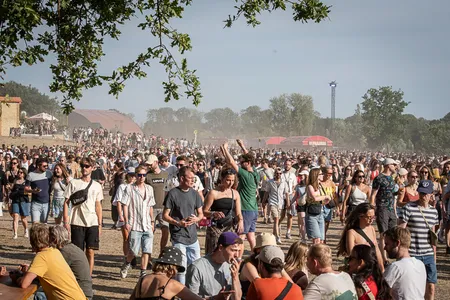 Down The Rabbit Hole