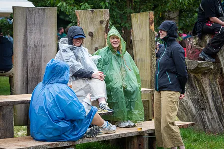 Down The Rabbit Hole