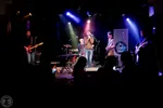 Wood for the Trees live