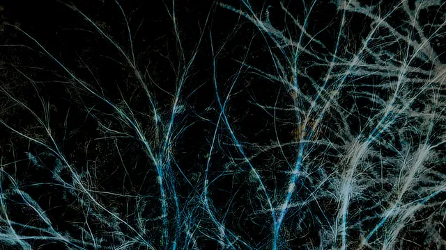 Cover art van Thistle Sifter door Nici Metselaar