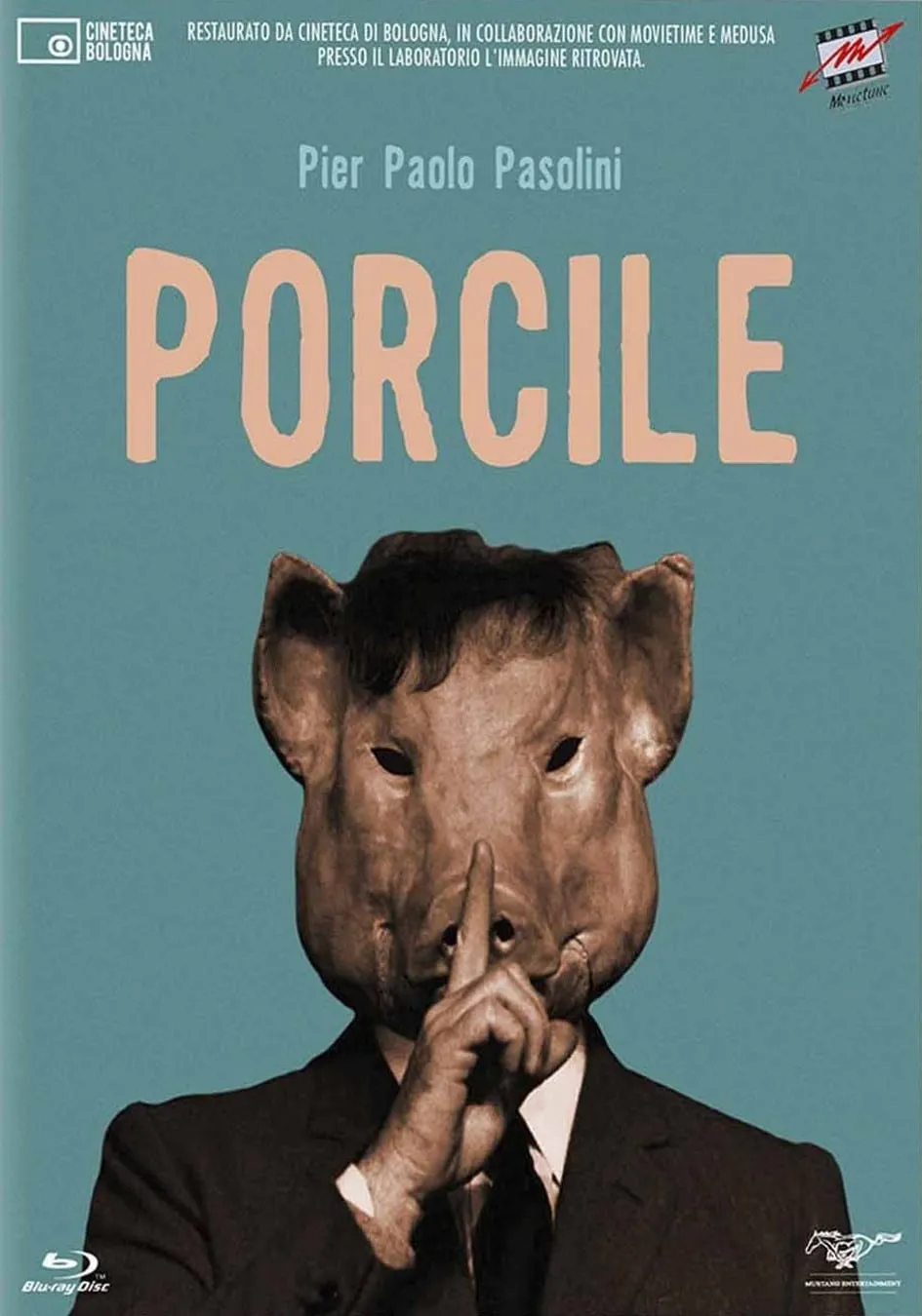 Porcile poster