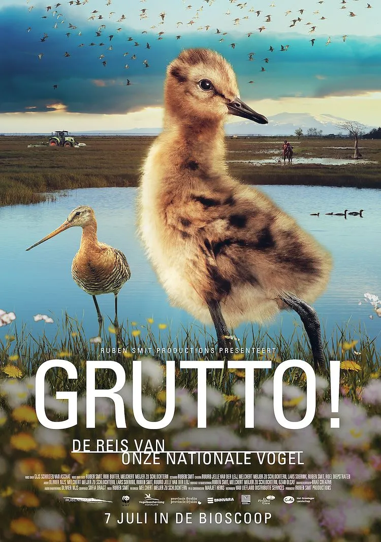 Grutto! De reis van onze nationale vogel poster