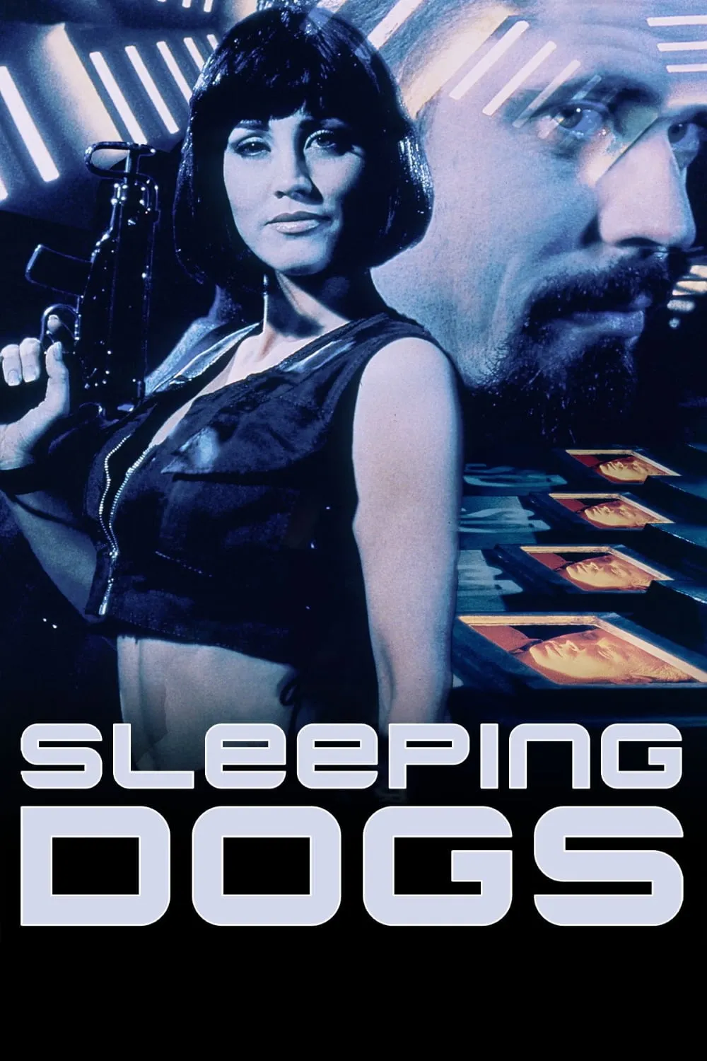 Sleeping dogs poster