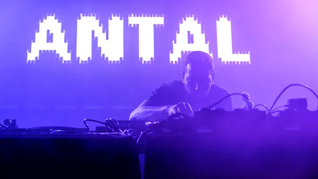 Antal op Lowlands 2019