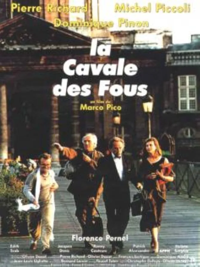 La cavale des fous poster
