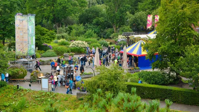 De beschaving 2012 door de oven van Peter Tops