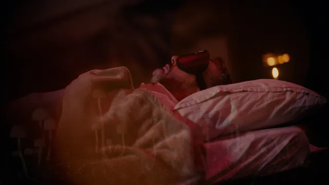 still 2 Psychedelisch Pionieren