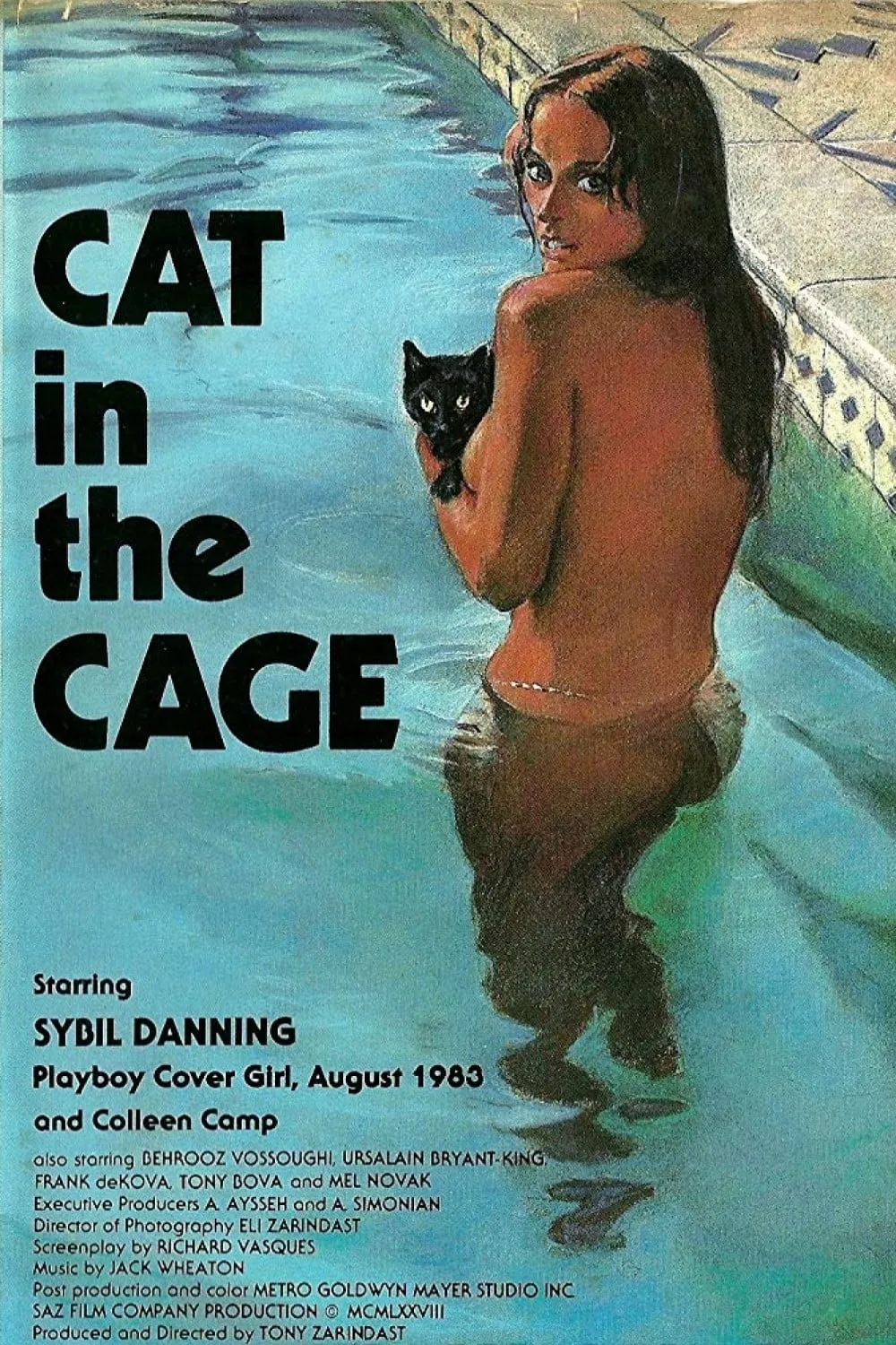 Cat in the Cage poster