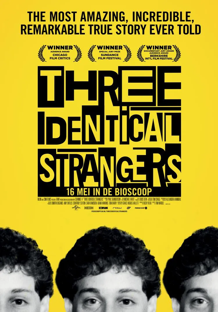 Three Identical Strangers poster