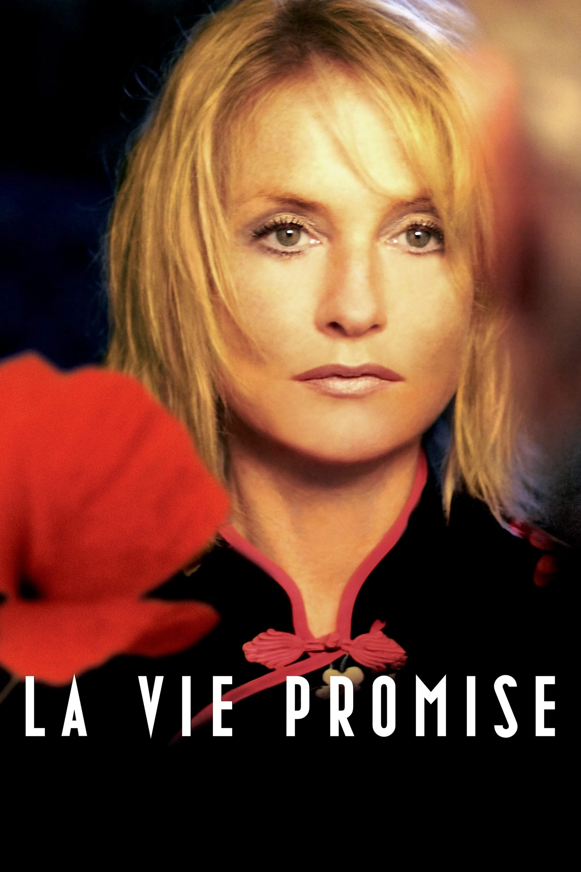 La vie promise poster