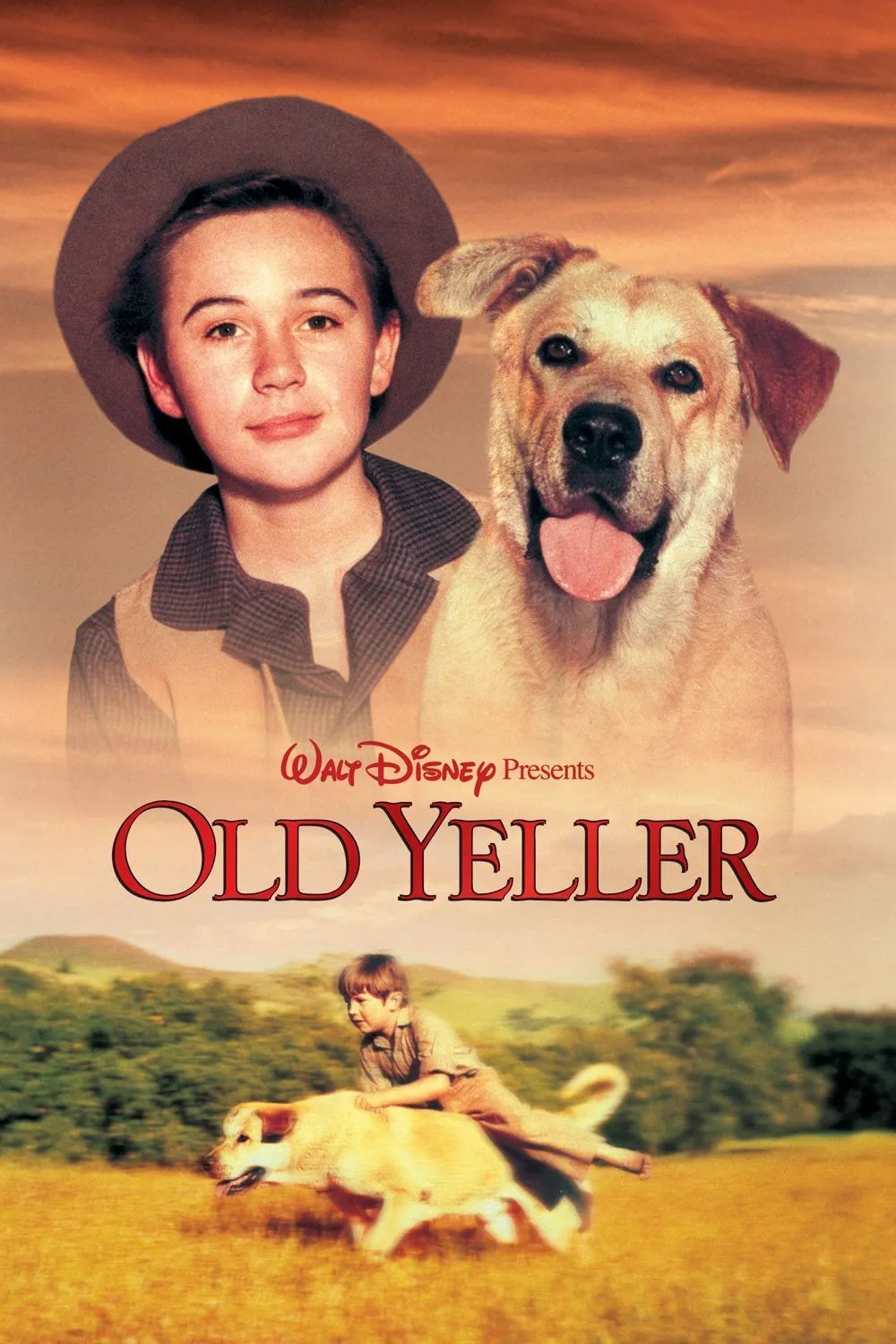 Old Yeller poster