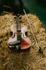 Bluegrass Festival