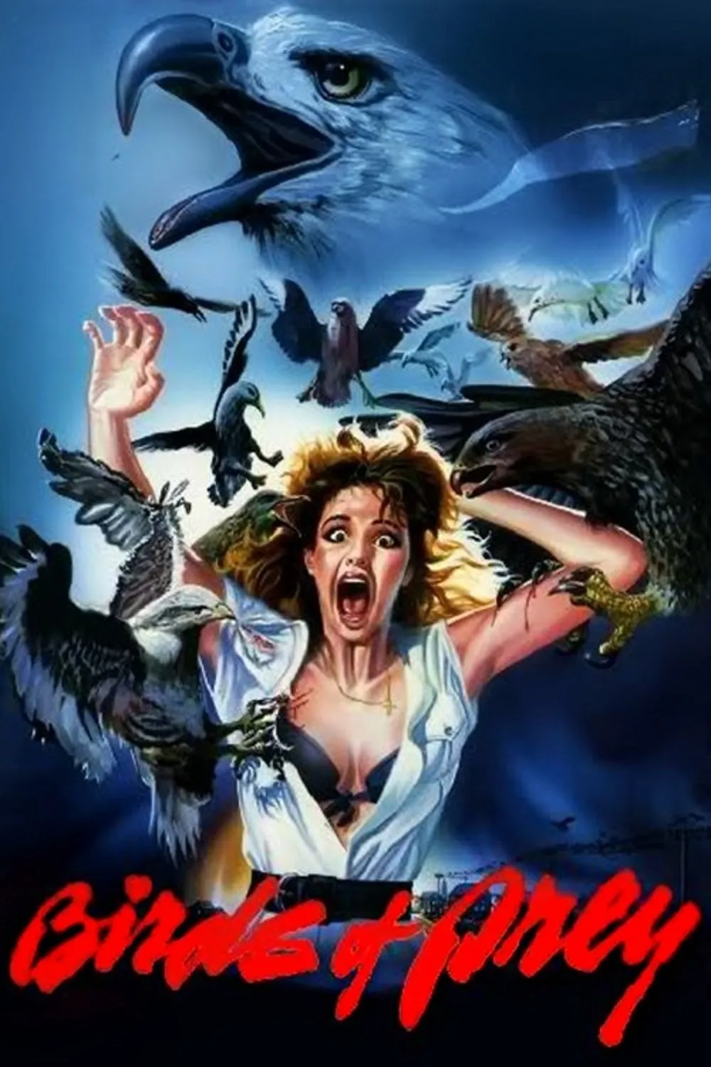 Birds of Prey poster