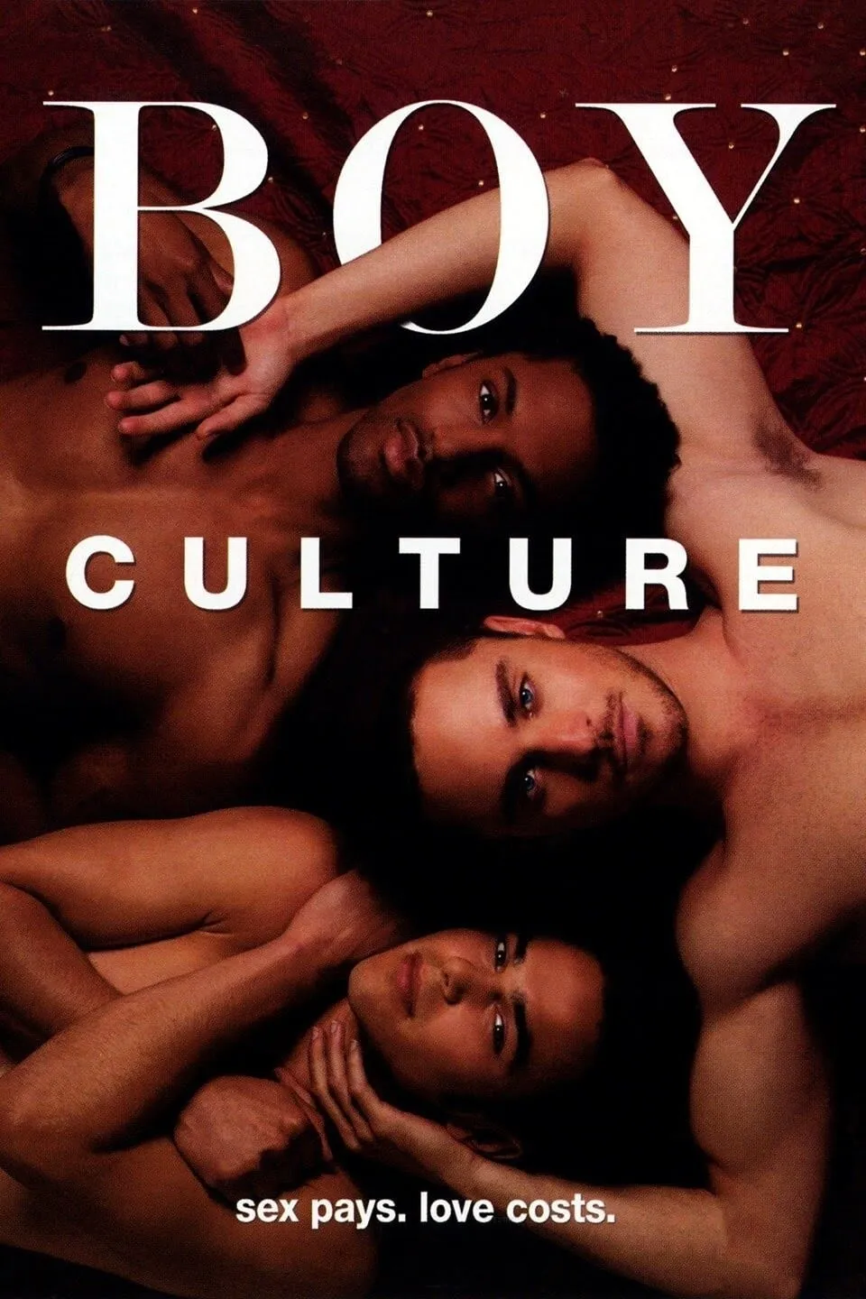 Boy Culture poster