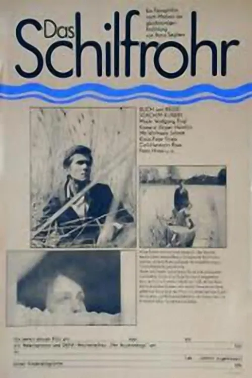 Das Schilfrohr poster
