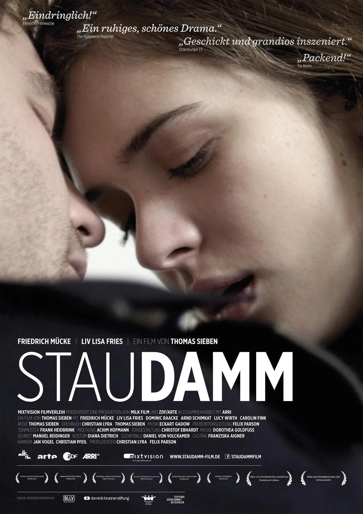 Staudamm poster
