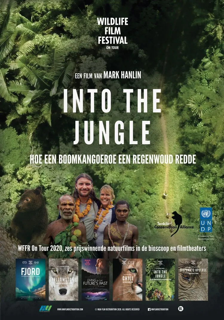 Into the Jungle poster