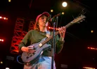 Rozi Plain