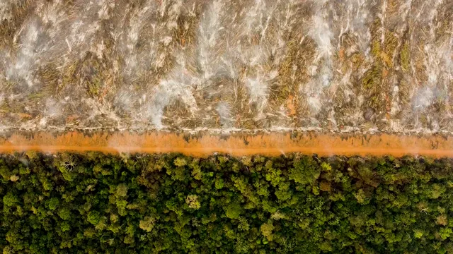 still 2 Our Grandparents Hunted Here