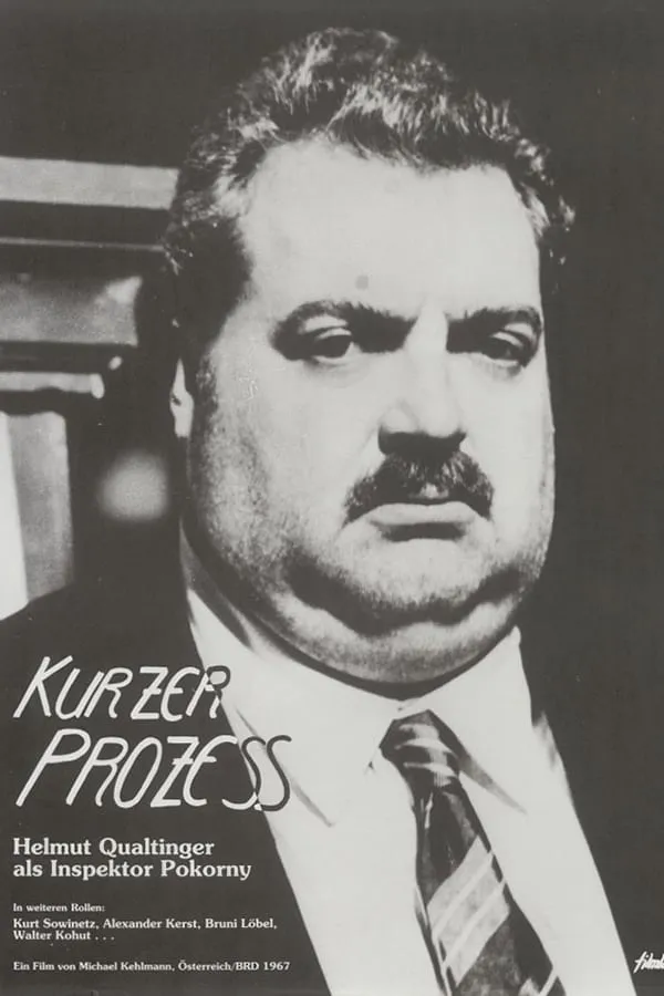 Kurzer Prozess poster