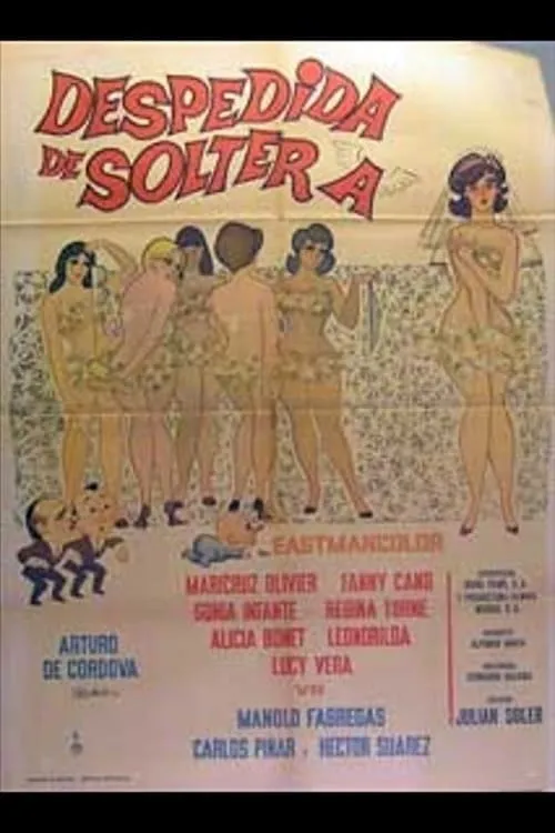 Despedida de soltera poster