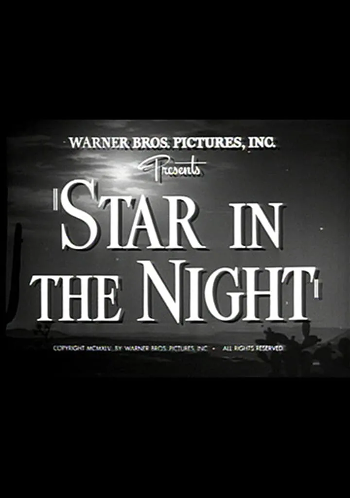 Star in The Night poster