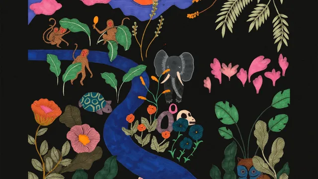 Jose Gonzalez, local valley, album cover