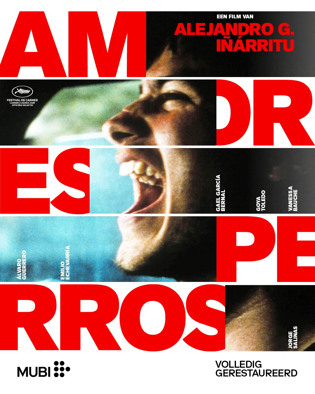 Amores perros poster