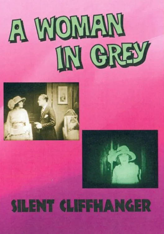 A Woman in Grey poster
