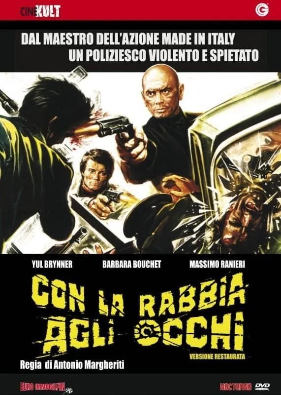 Con la rabbia negli occhi poster