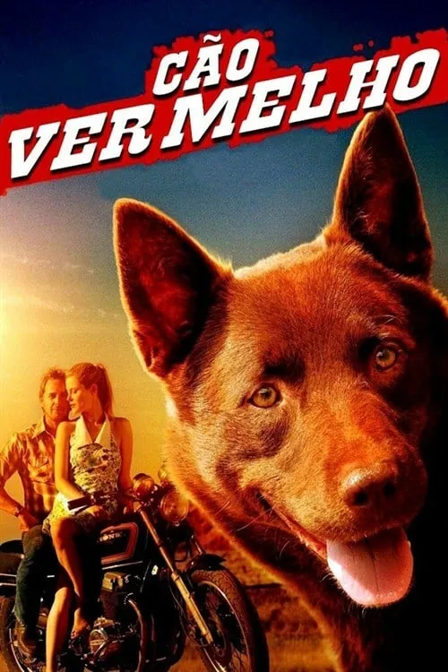 Red Dog poster