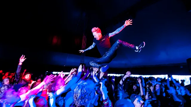 Frank Carter And The Rattlesnakes