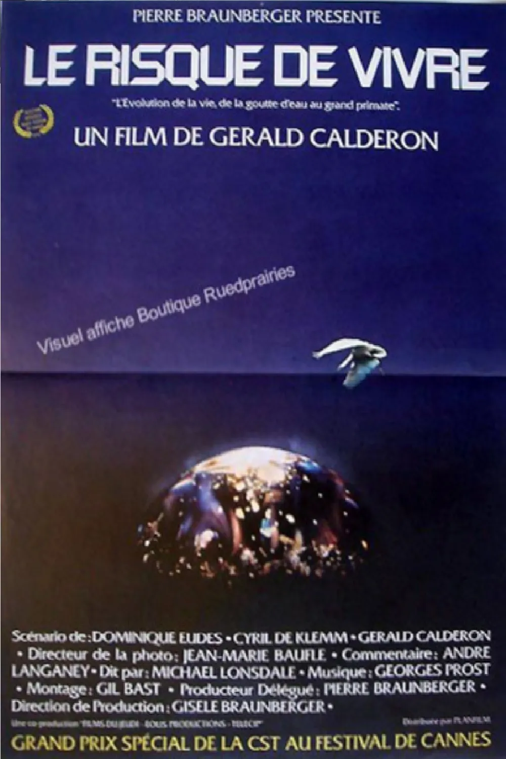 Le Risque de vivre poster