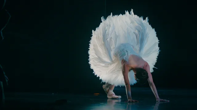 Ballerina Het Zwanenmeer