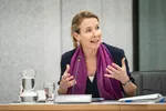 Stientje van Veldhoven