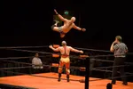 Show wrestling 1