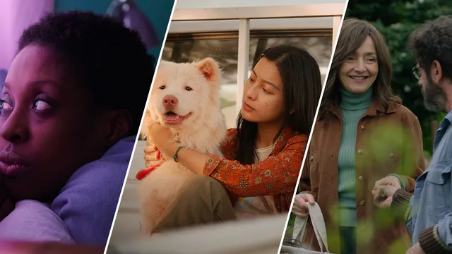 Collage van beelden uit de films Dreamers, Gohan & The Portuguese House