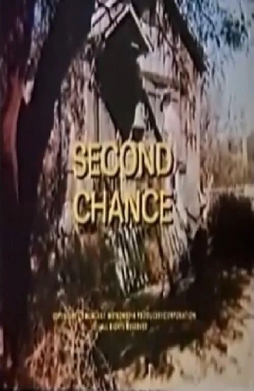 Second Chance poster