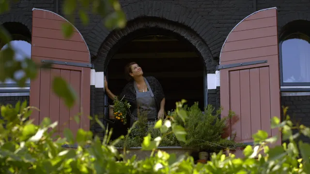 makreel uit egmond aan zee