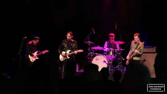 The Vega Strauss band