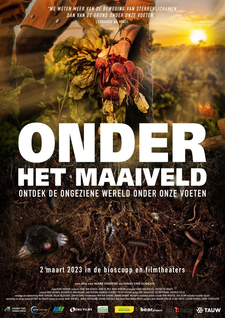 Onder het maaiveld poster