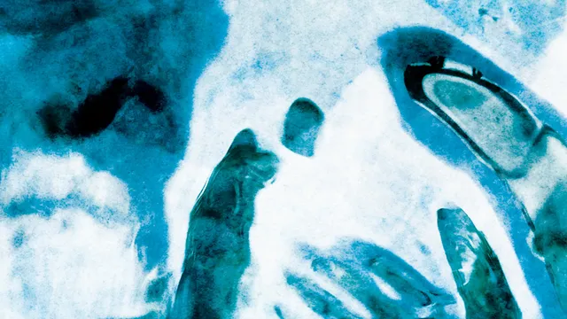 Voices From The Lake